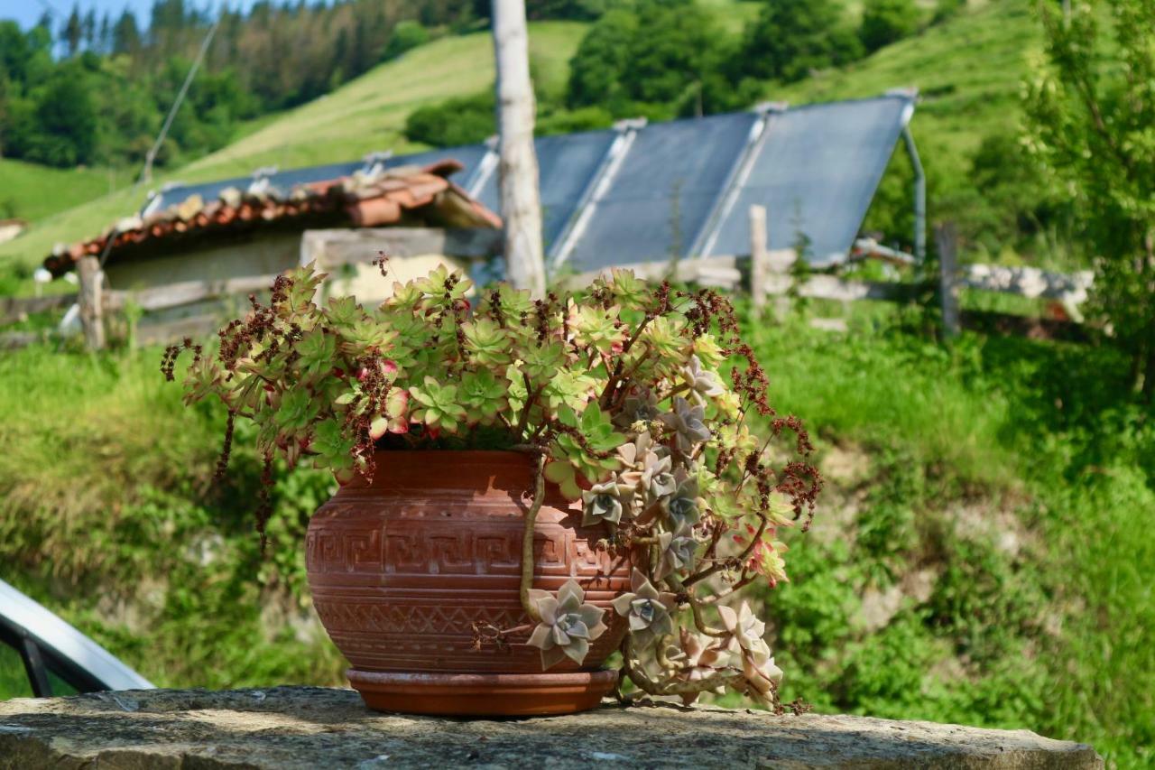 Sosola Baserria Eibar Bagian luar foto
