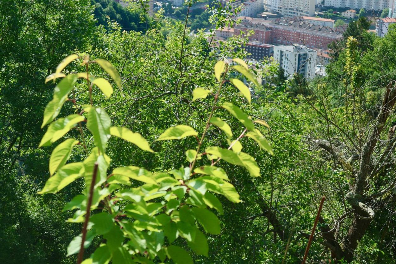 Sosola Baserria Eibar Bagian luar foto